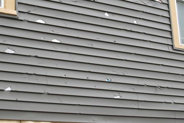 Best Steel Siding Installation  in Morris, AL