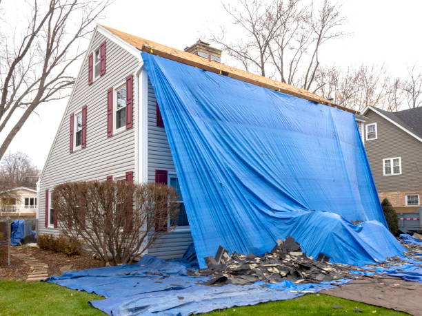 Best Wood Siding Installation  in Morris, AL